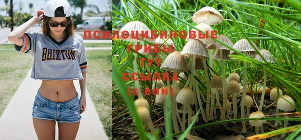 дурь Белоозёрский