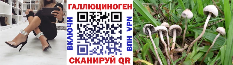 Галлюциногенные грибы GOLDEN TEACHER цены наркотик Бугульма